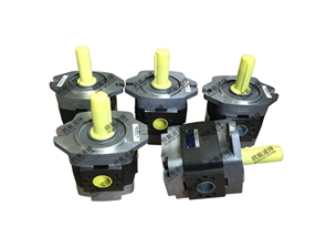福伊特齒輪泵IPV IPVP IPC IPVAP係列